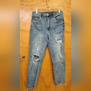 Blank NYC The Howard Distressed Blue Jeans